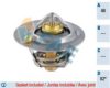 FAE 5323282 Thermostat, coolant